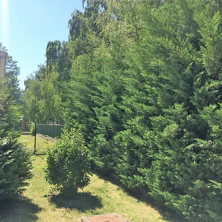Lägenhet Agi Ii.
